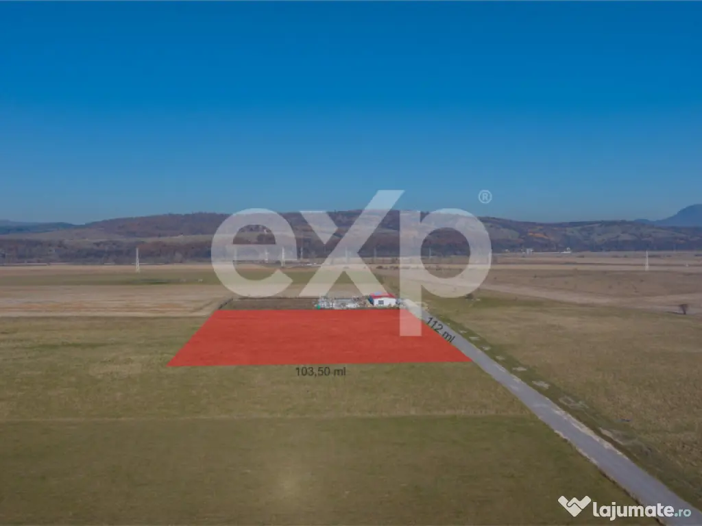 Teren 11.600 mp – Râșnov, zona Tabăra, 230 m de DN 73