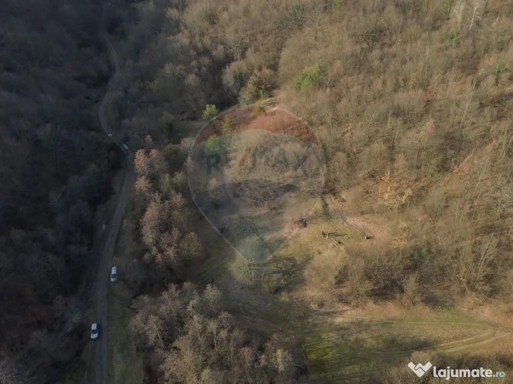 Poiană pentru cabana de vanzare intravilan Coas