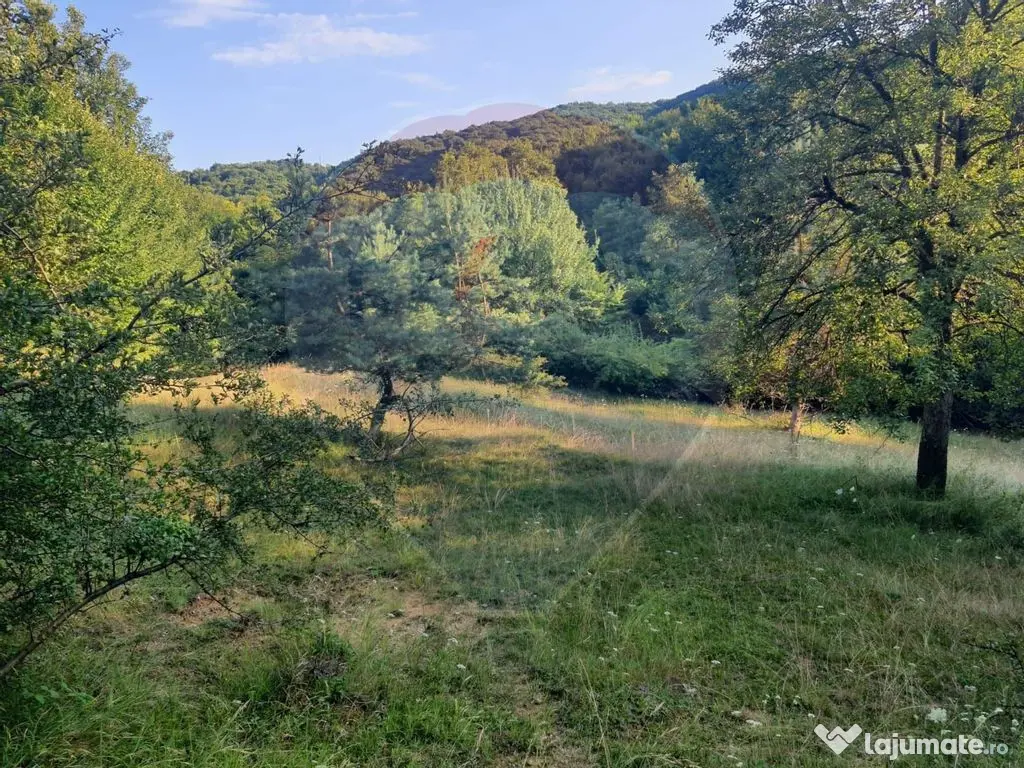 Poiană pentru cabana de vanzare intravilan Coas 