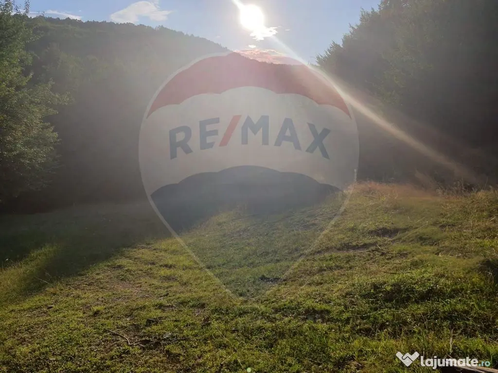 Poiană pentru cabana de vanzare intravilan Coas 