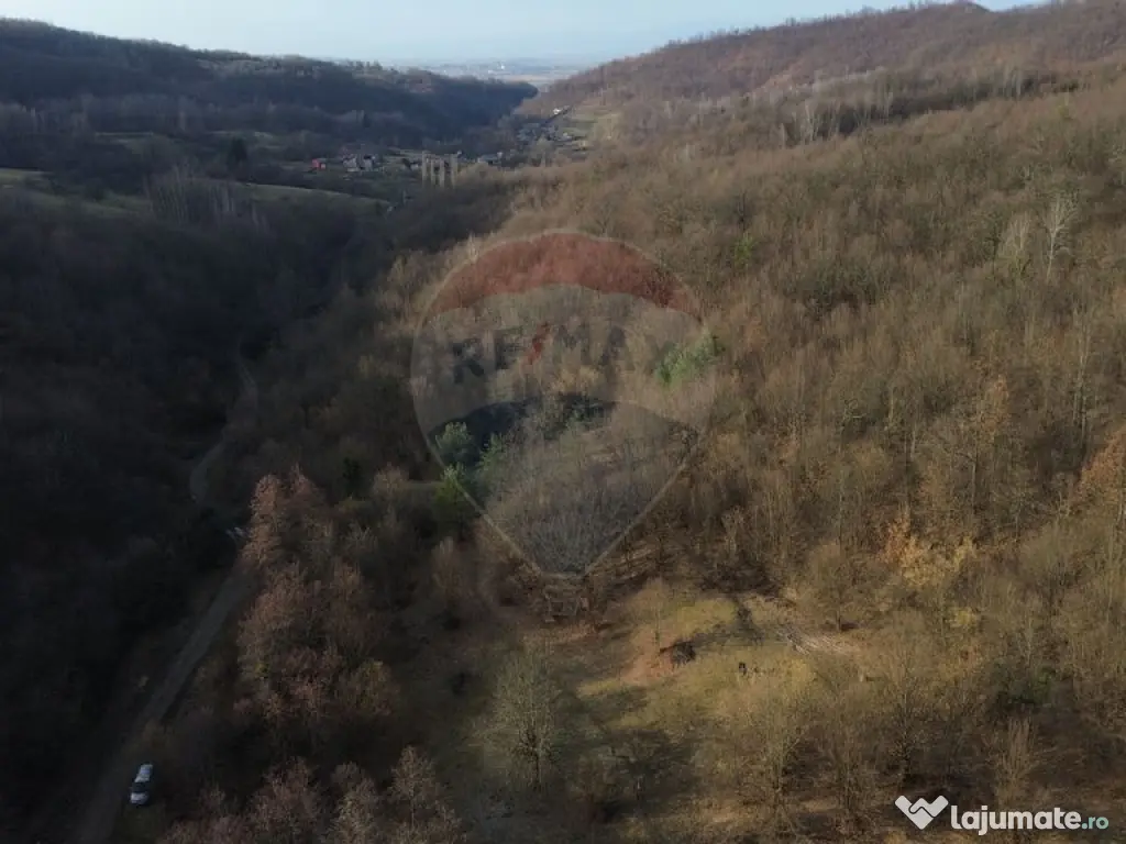 Poiană pentru cabana de vanzare intravilan Coas