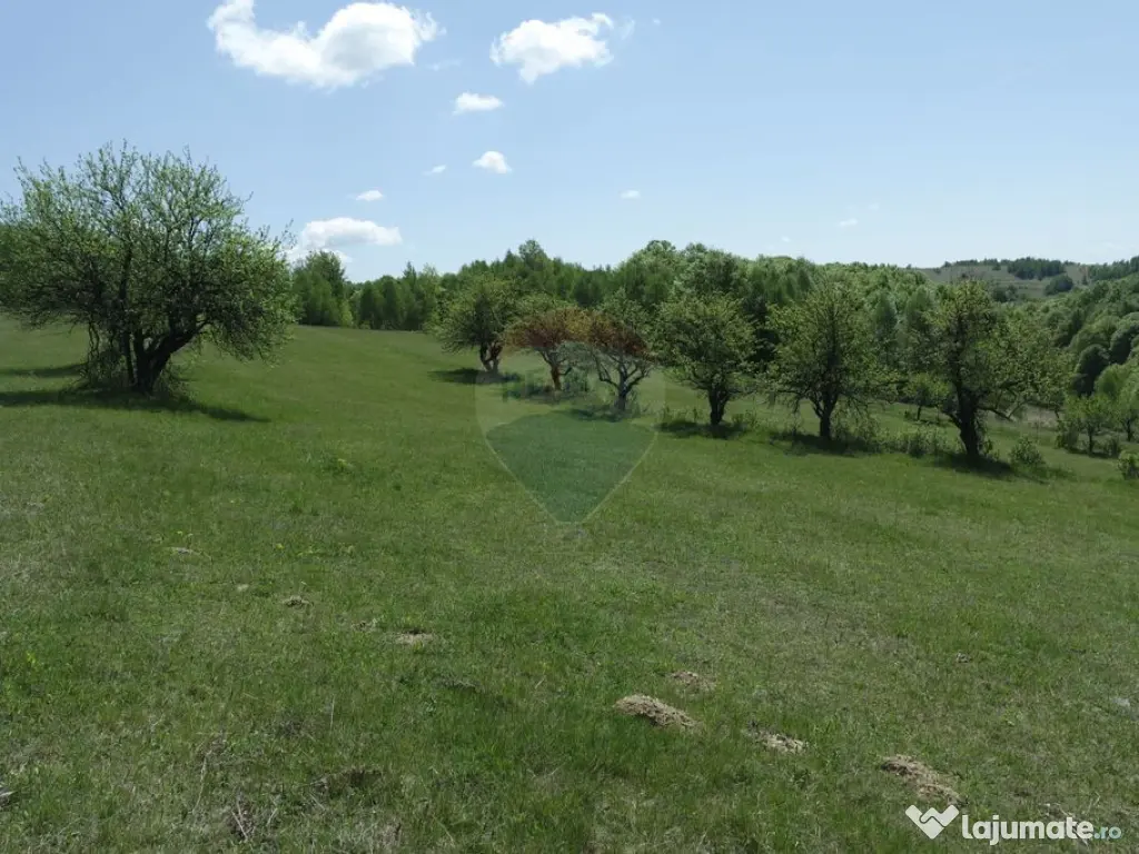 TEREN DE VÂNZARE ÎN PRELUCA NOUA