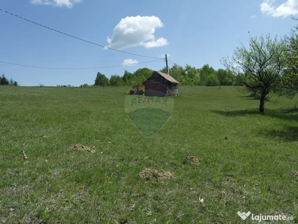 TEREN DE VÂNZARE ÎN PRELUCA NOUA