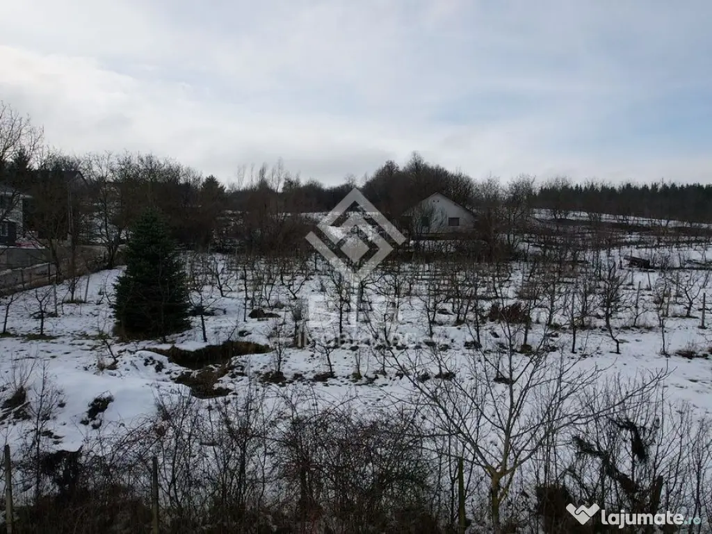 Teren Investitie Valea Jelnii 