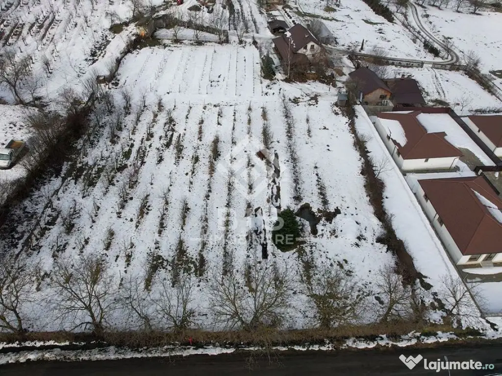 Teren Investitie Valea Jelnii 