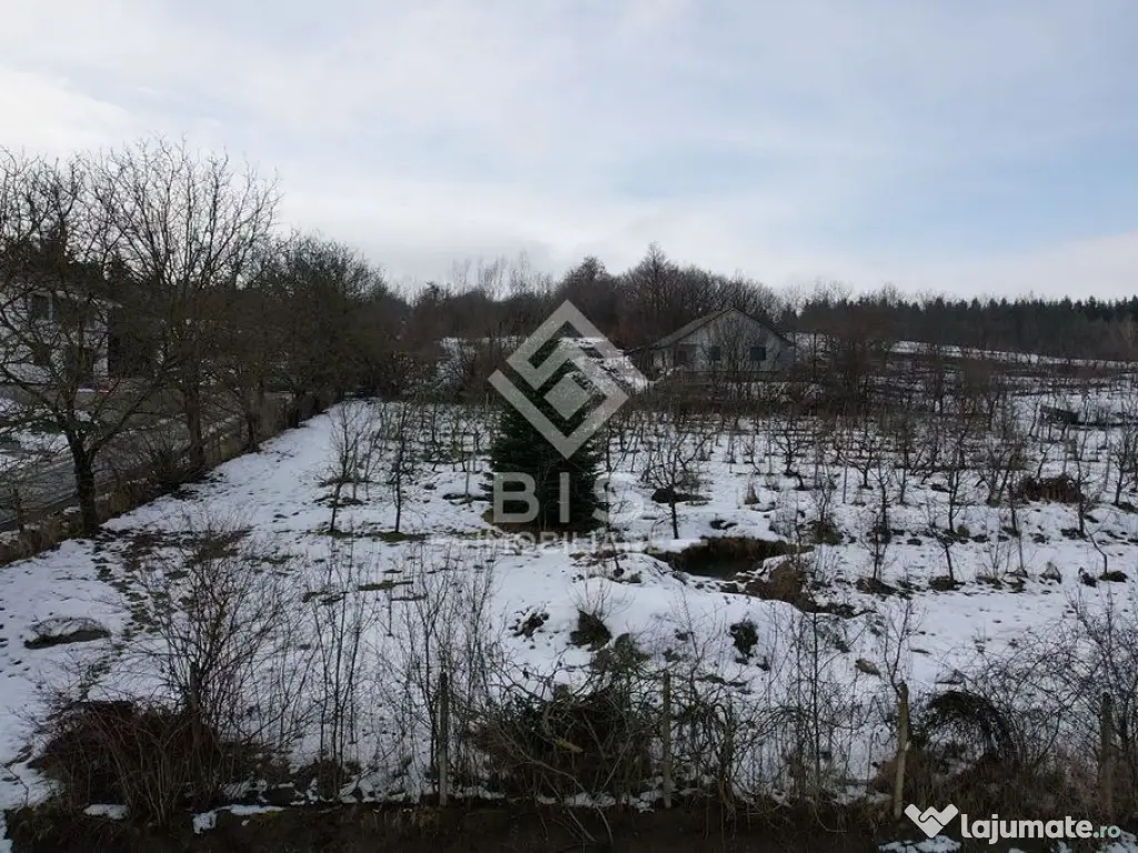 Teren Investitie Valea Jelnii 