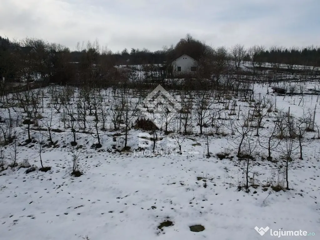 Teren Investitie Valea Jelnii 