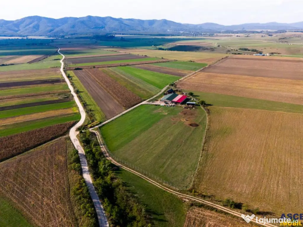 FILM! 18.000 mp, extravilan, agricol constructii:ferma,inve 