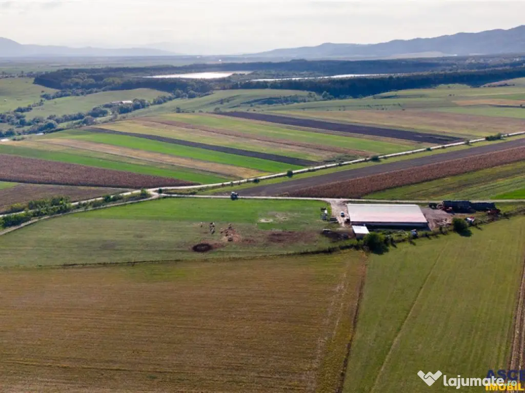 FILM! 18.000 mp, extravilan, agricol constructii:ferma,inve 