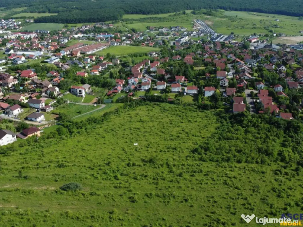 FILM!Oportunitate: 8.500mp, recomandat investitional dezvolt