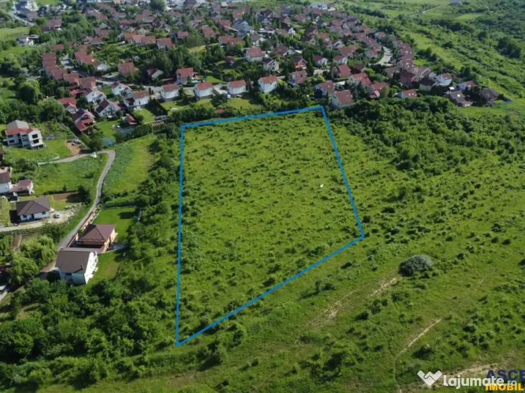 FILM!Oportunitate: 8.500mp, recomandat investitional dezvolt