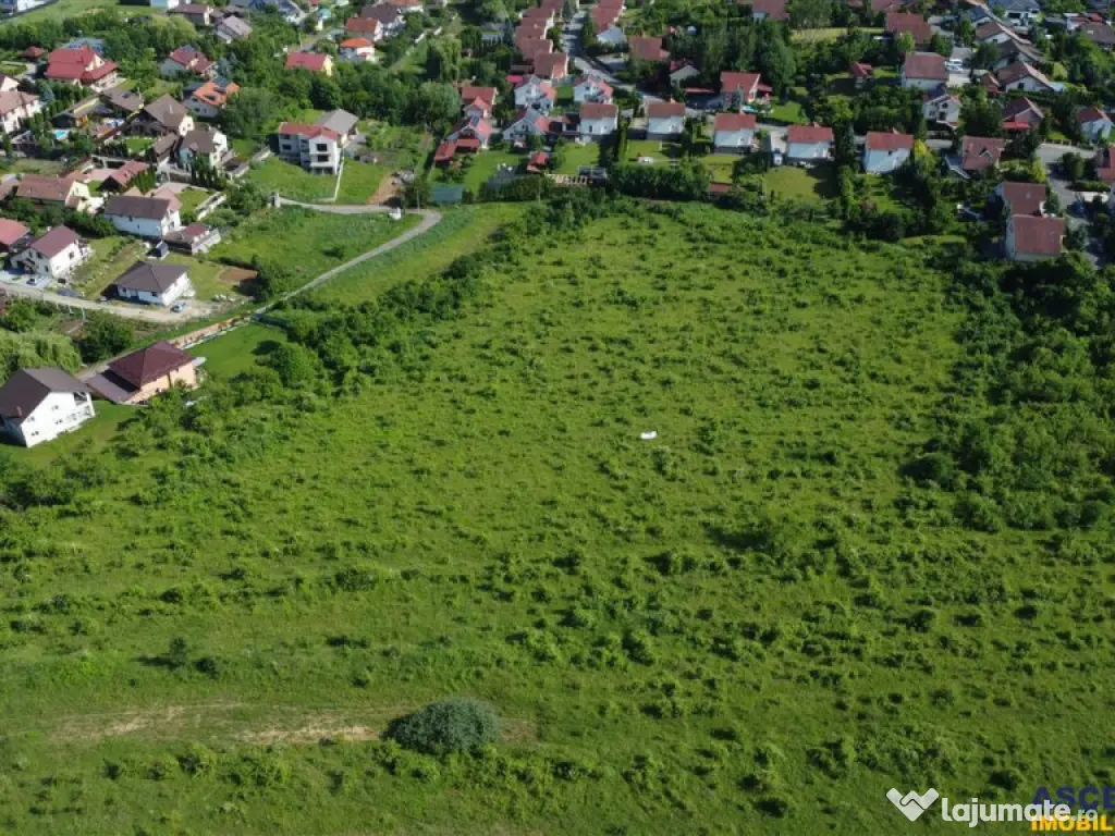 FILM!Oportunitate: 8.500mp, recomandat investitional dezvolt