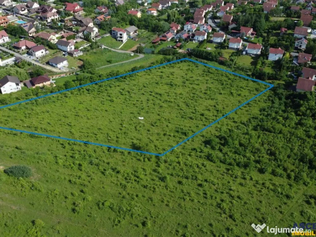 FILM!Oportunitate: 8.500mp, recomandat investitional dezvolt