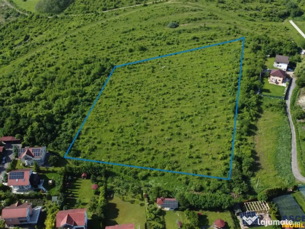 FILM!Oportunitate: 8.500mp, recomandat investitional dezvolt