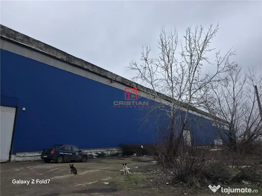 Spatiu industrial/hala/depozit Giurgiu - Port, Giurgiu