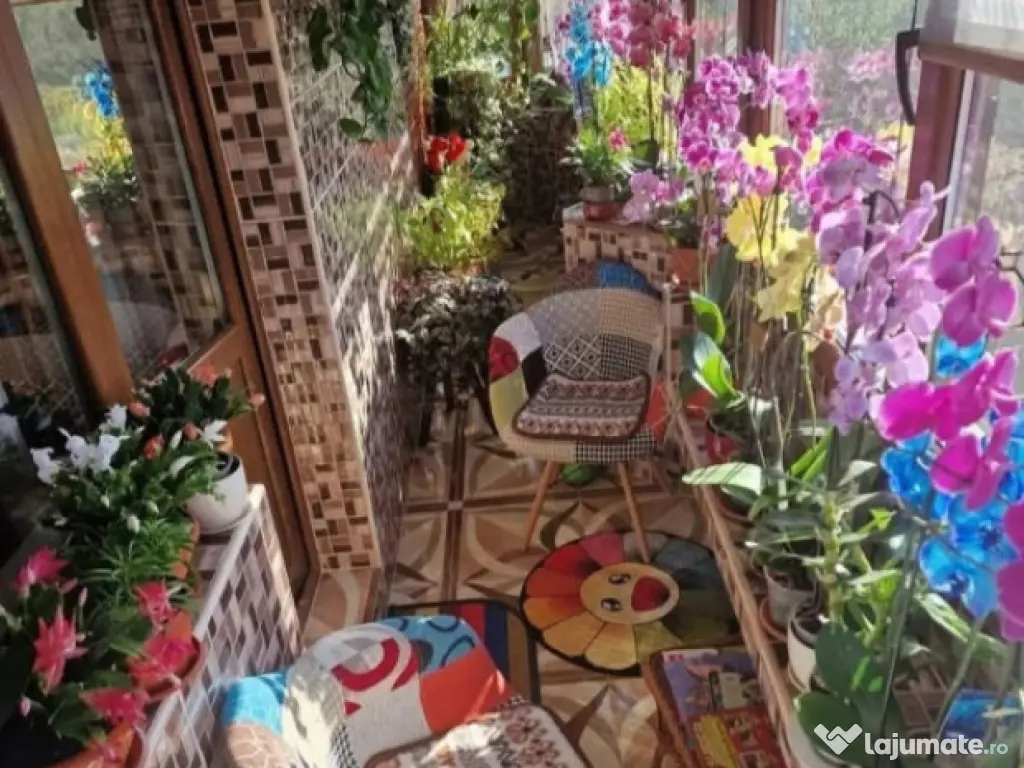 Apartament 4 camere decomandat, orasul Mizil, zona Centrala 