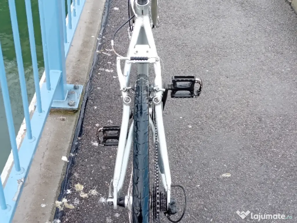 Bicicleta de oras pe 28 