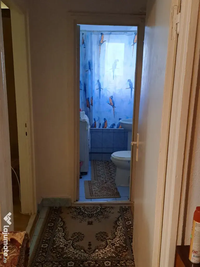 Vand apartament 2 camere in Sinaia , zona Malul Spitalului 