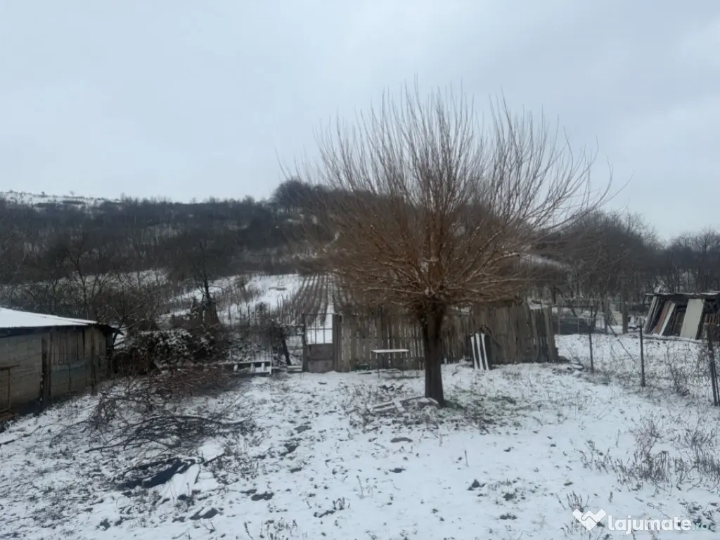 Casa S+P+1, 280 mp utili, 2000 mp teren, zona Podari