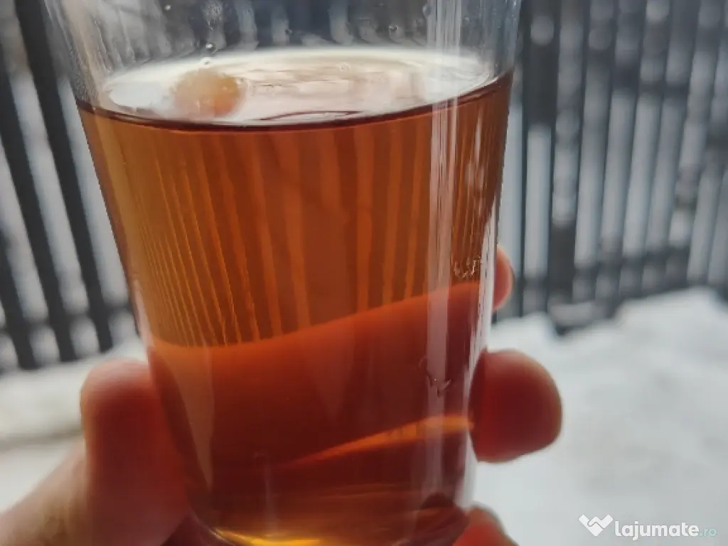 Volkswagen T-Roc 2024 – 2.0 TDI – 150 CP 