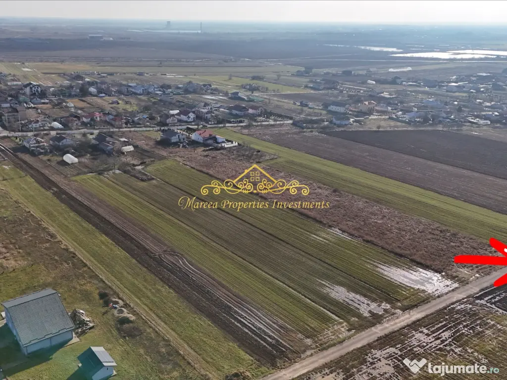 Teren intravilan case 10.000 mp, Str Sportului, Ulmi