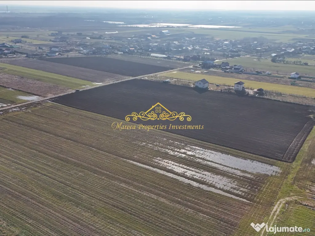 Teren intravilan case 10.000 mp, Str Sportului, Ulmi