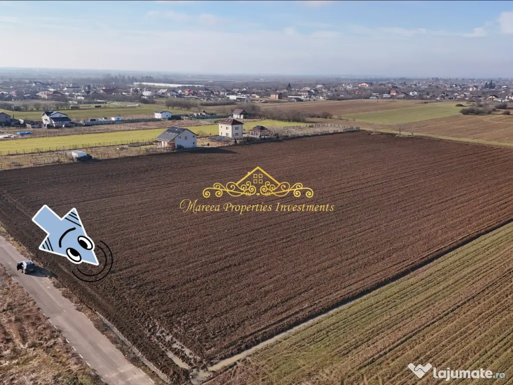 Teren intravilan case 10.000 mp, Str Sportului, Ulmi