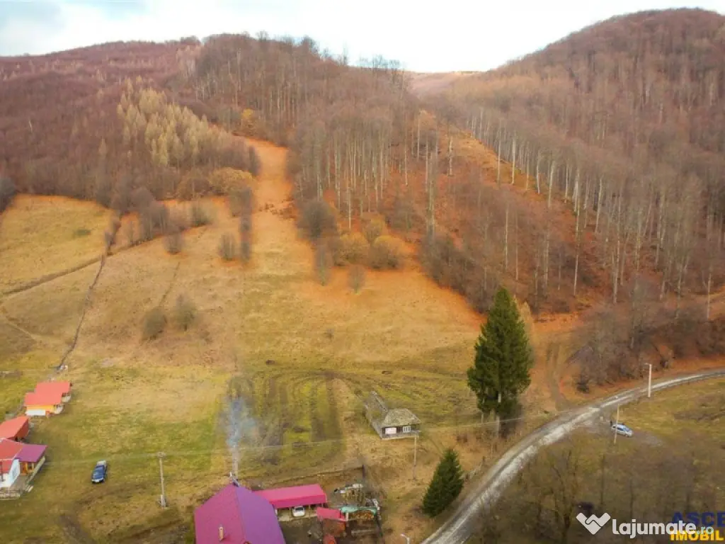 Teren la poalele padurii,Buzaiel,Vama Buzaului,DJ,constructi