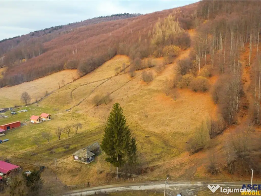Teren la poalele padurii,Buzaiel,Vama Buzaului,DJ,constructi