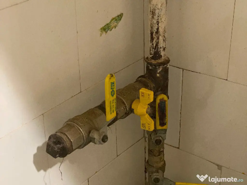 Apartament 2 Camere Langa Parc–Liniste,Caramida Gata Centrala Propr.