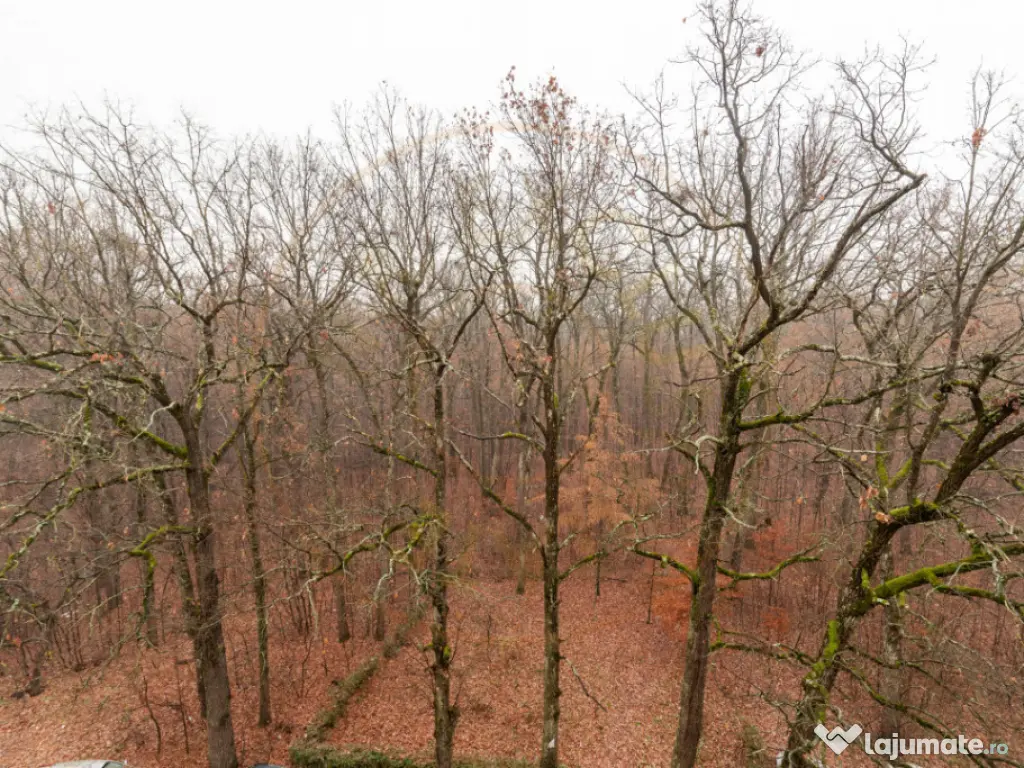 Apartament 2 camere, bloc 2014- rate fara dobanda direct la 