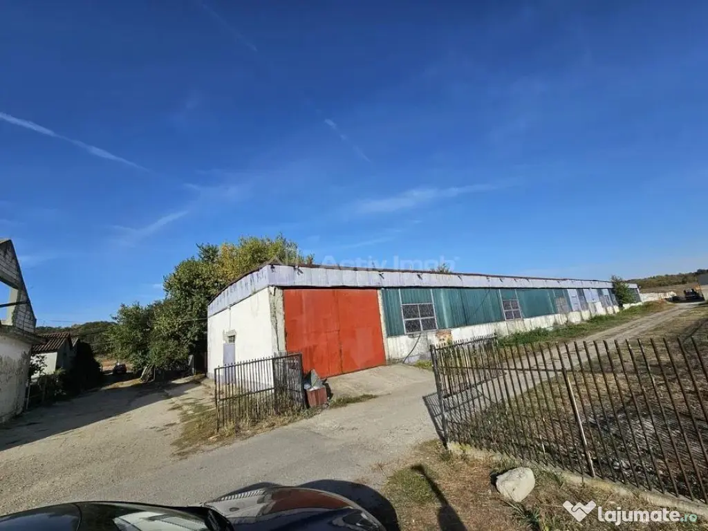 Hala industriala (1000 mp) si teren (4000 mp), Scornicesti, 