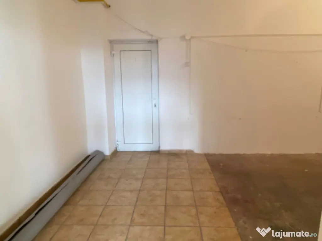 Spatiu comercial, 93 mp, Rovine 