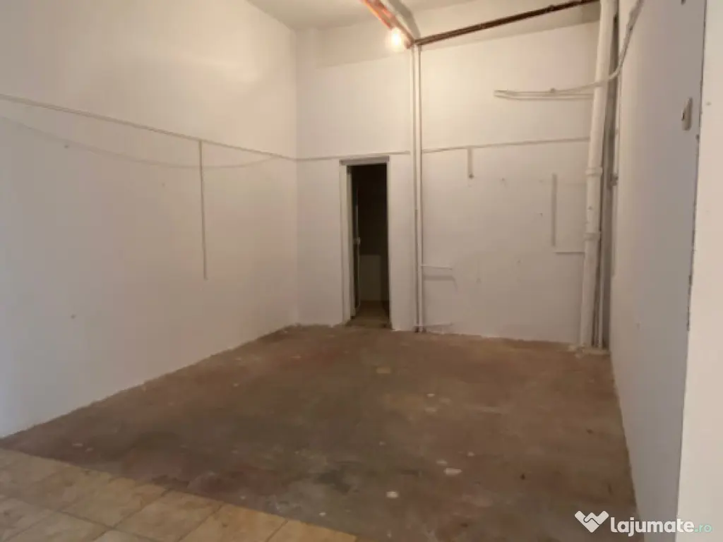 Spatiu comercial, 93 mp, Rovine 