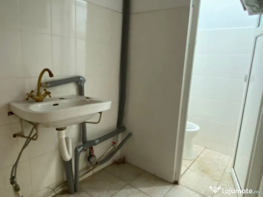 Spatiu comercial, 93 mp, Rovine 