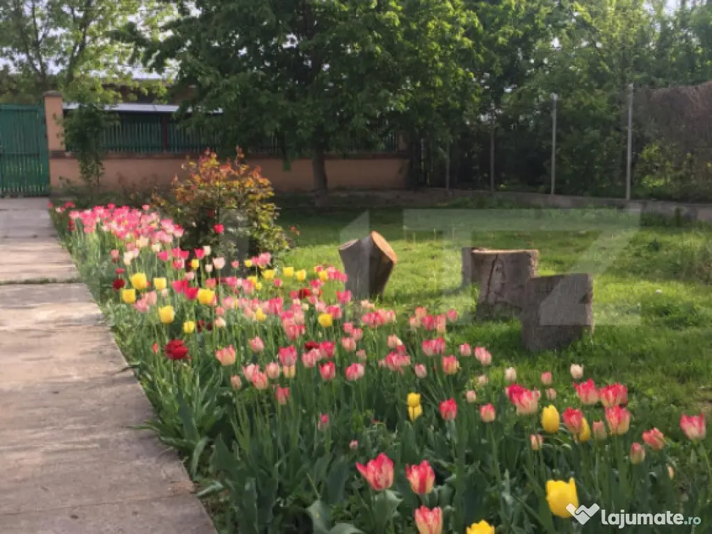 Oază de Liniște în Inima Orașului: Proprietate Exclusivi