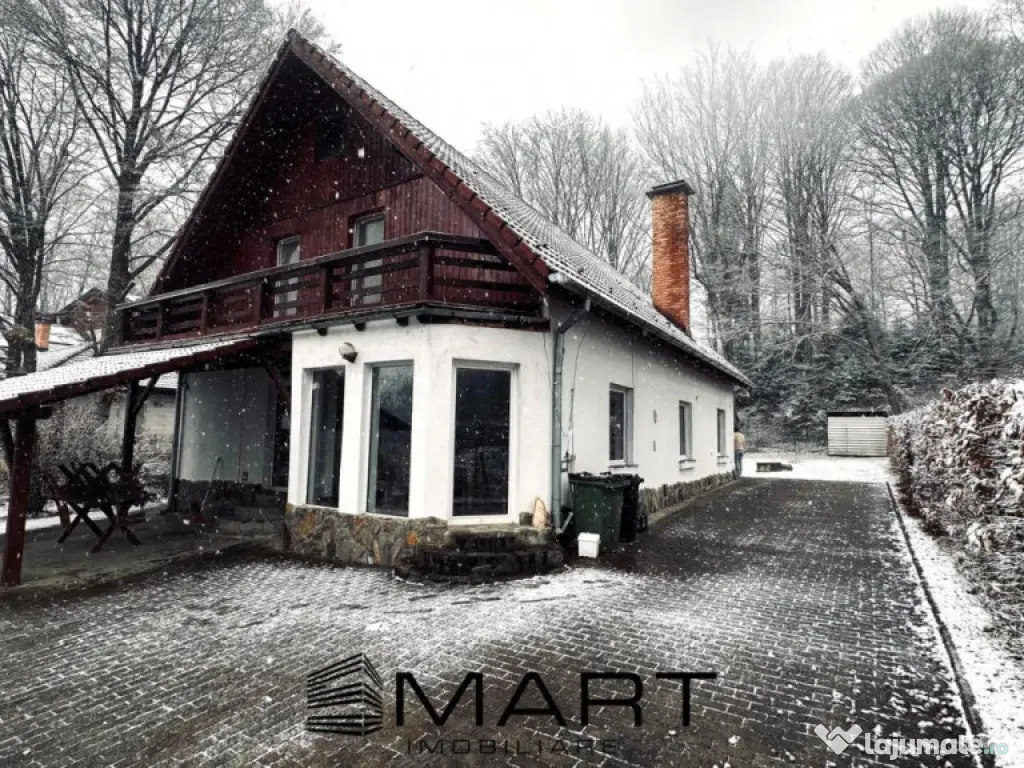 Casa de vacanta cu teren 2000mp Valea Avrigului