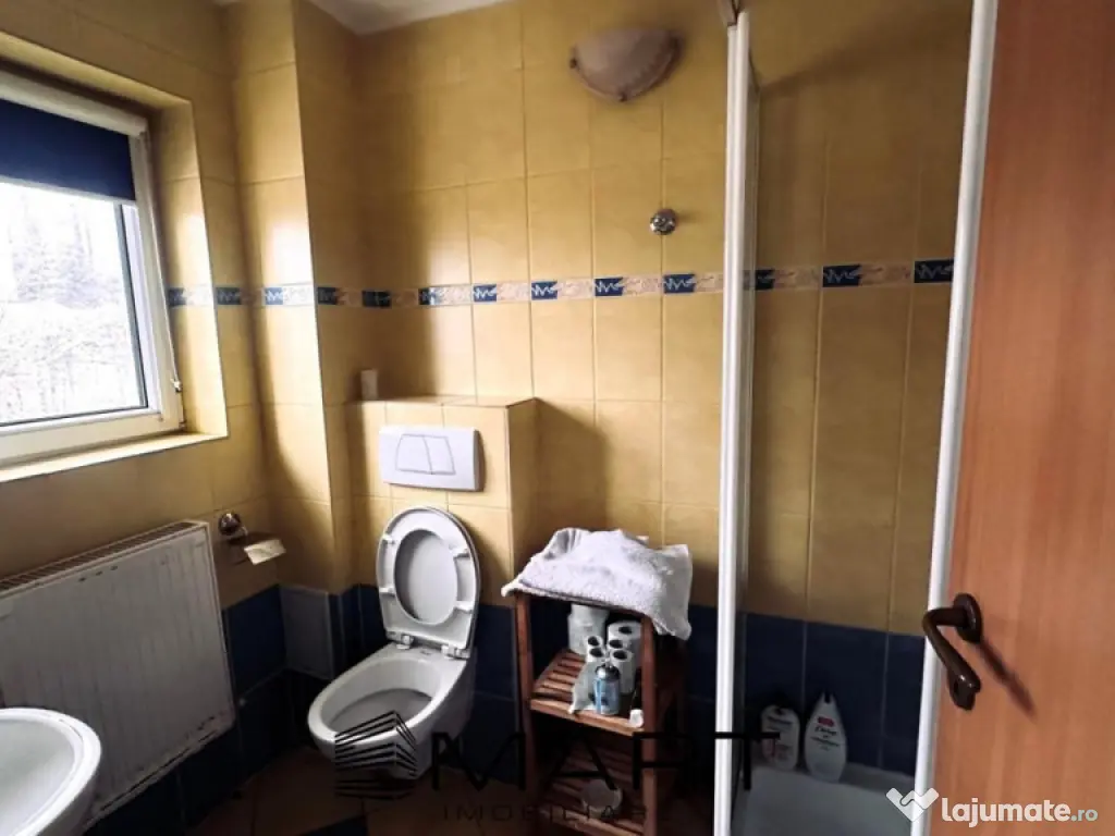 Casa de vacanta cu teren 2000mp Valea Avrigului