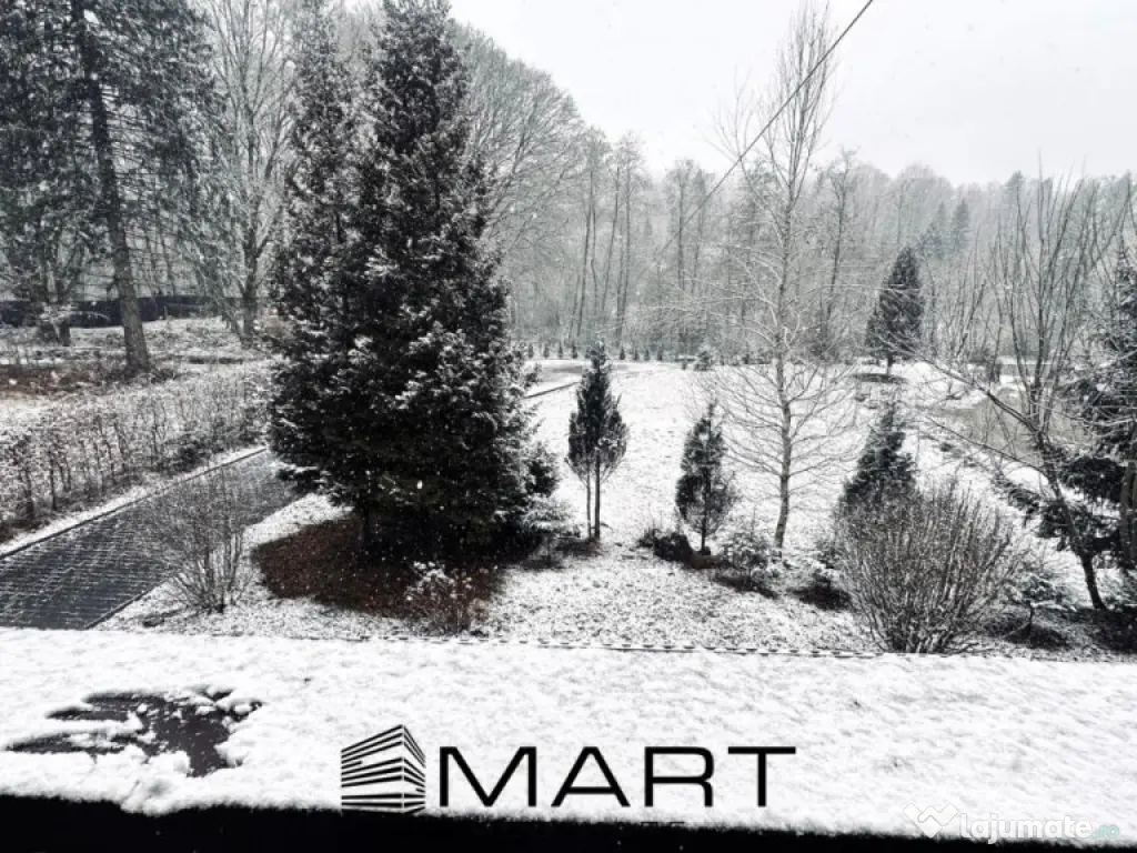 Casa de vacanta cu teren 2000mp Valea Avrigului