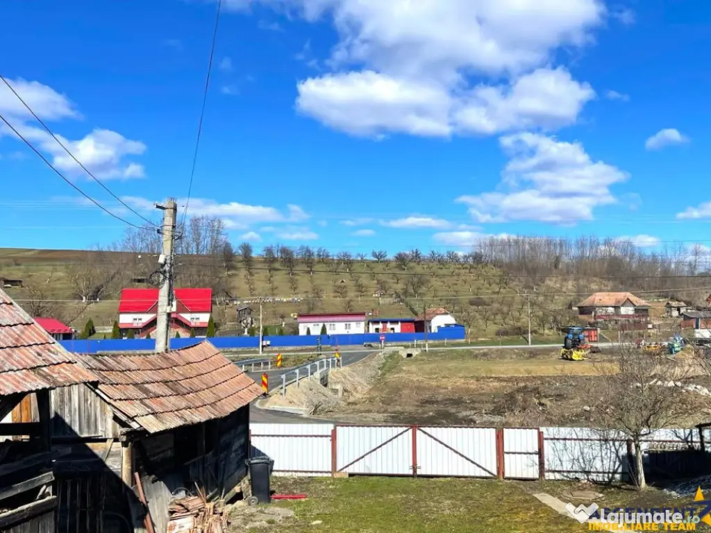 TUR 3D! Locuinta traditionala 4300 mp teren,pomicultura,an 