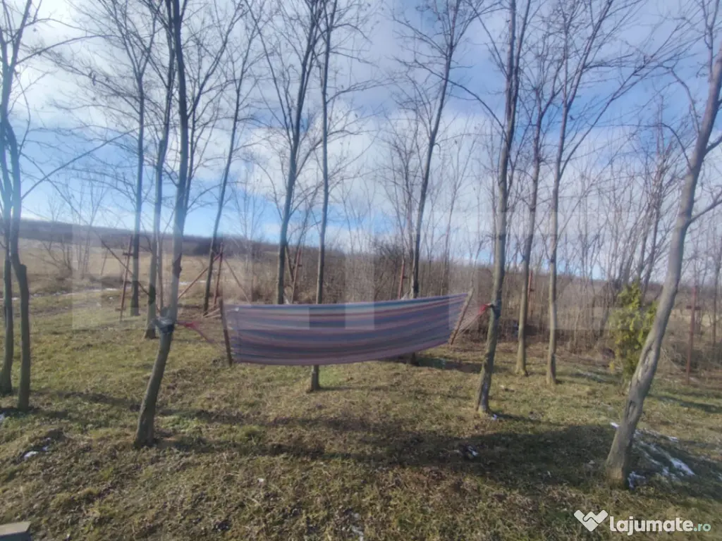 Teren intravilan cu cabana, 700mp, Ciurea 