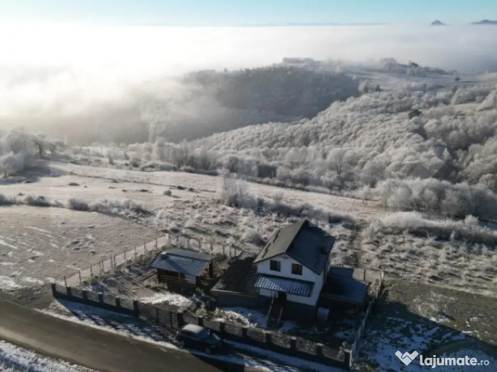 Cabana de vânzare – oportunitate de business / casă de v 