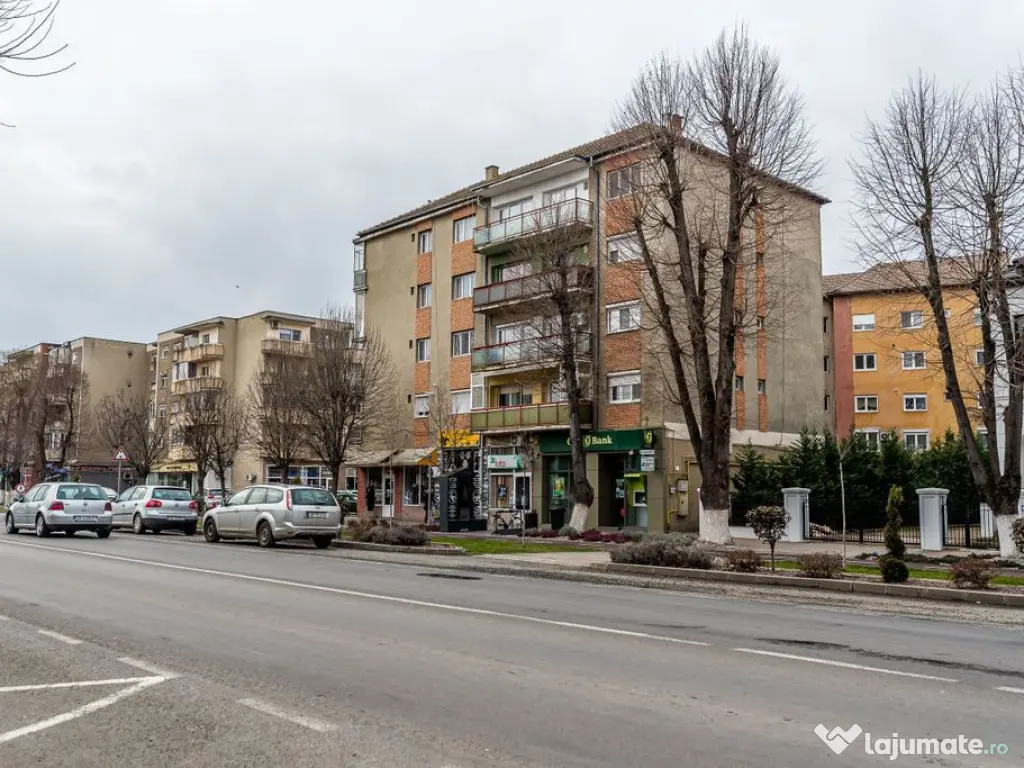 Apartament spatios in centrul orasului Chisineu Cris 