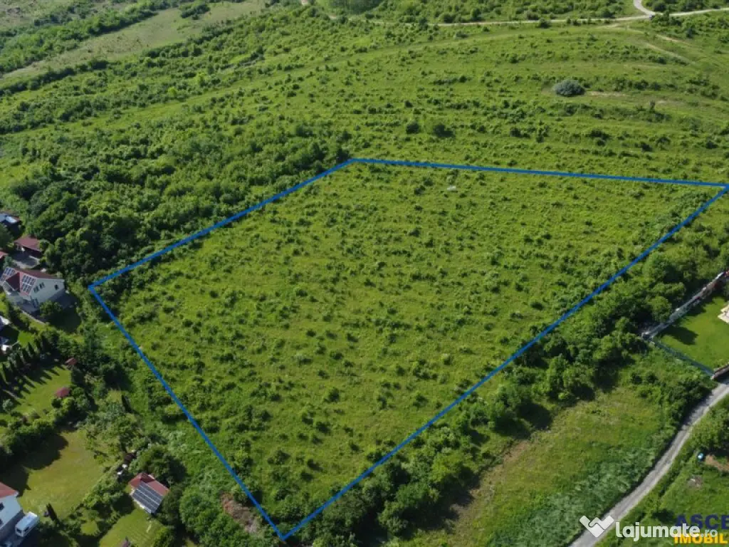 FILM! Teren pretios: 17.200 mp, recomandat investitional dez 