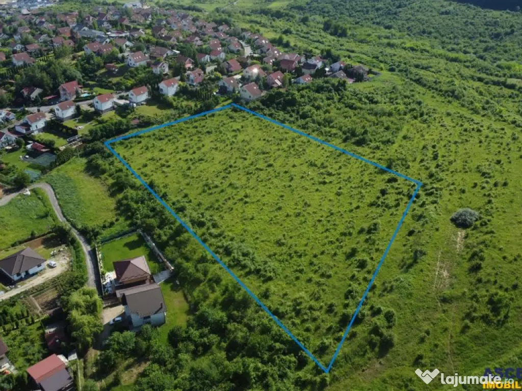FILM! Teren pretios: 17.200 mp, recomandat investitional dez 