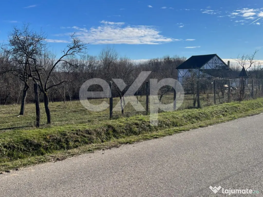 Refugiu la țară: casă cu 2 camere și teren de aproape 4.