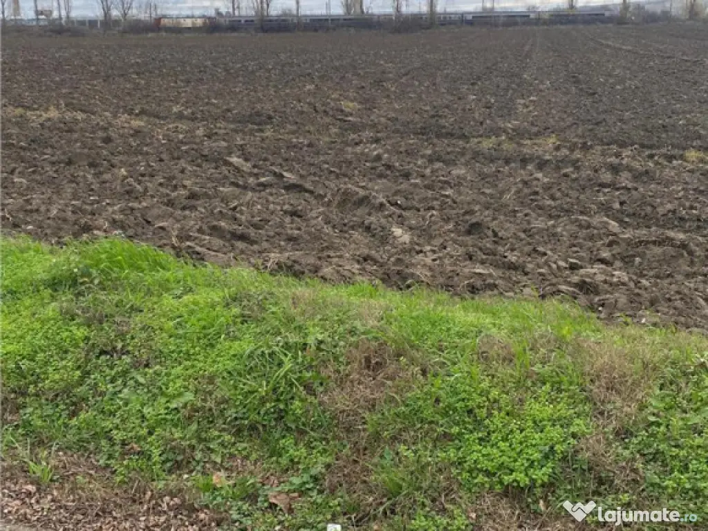 Teren Extravilan 10.000 mp in Prahova