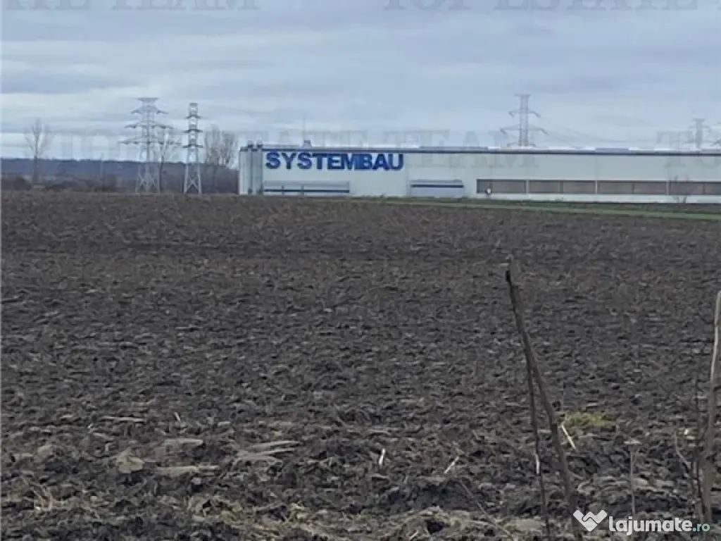 Teren Extravilan 10.000 mp in Prahova