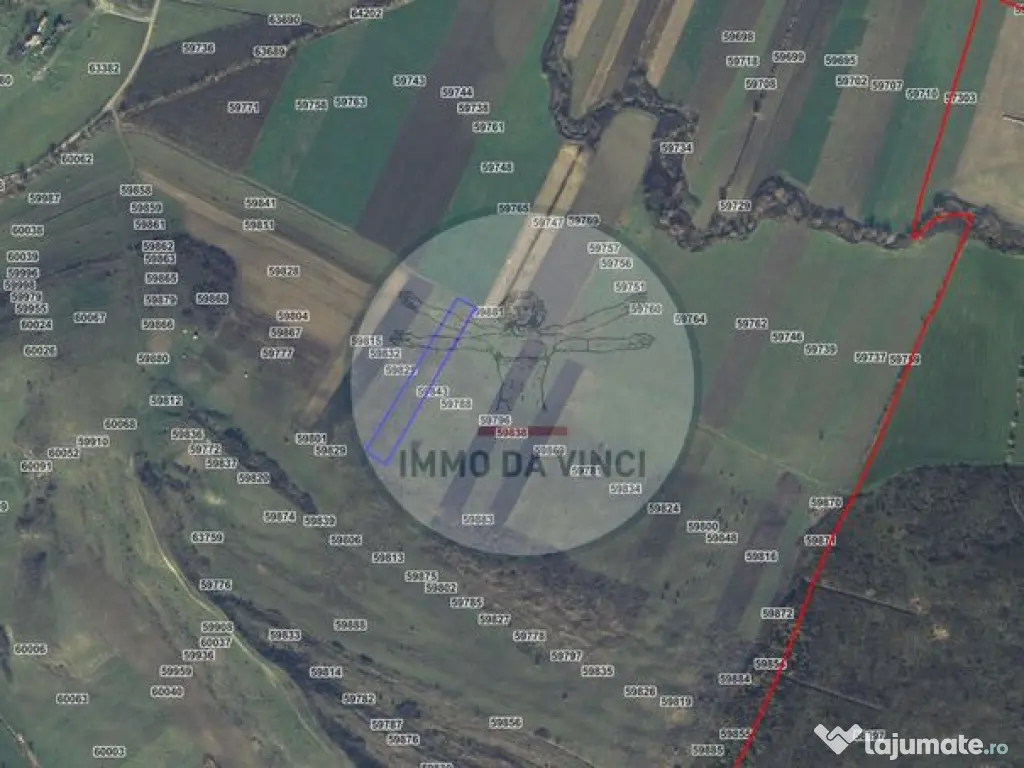 Pachet investitie terenuri Borșa Cluj 37.839 mp | 12.039... 