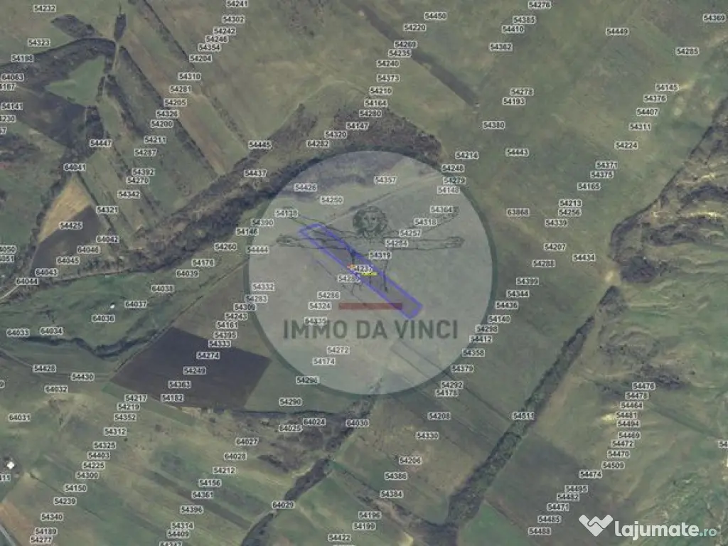 Pachet investitie terenuri Borșa Cluj 37.839 mp | 12.039... 